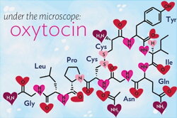 Oxytocín