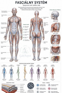 Fascie
